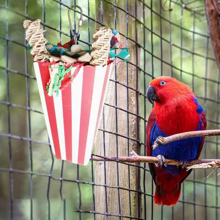 Jouets à mâcher colorés pour perroquets, tasse à oiseaux naturelle, jouets à mâcher pour perruches,