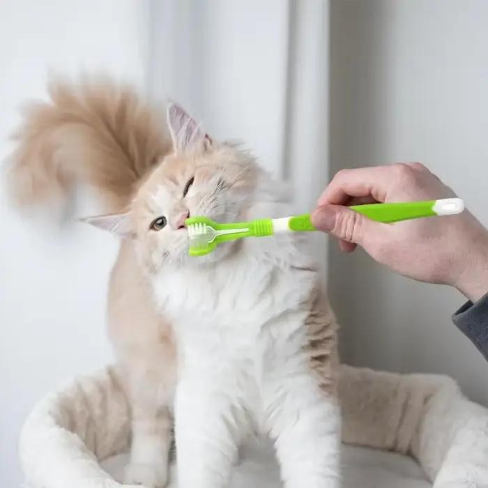 Brosse à dents en plastique pour animaux de compagnie, 3 faces, pour chien, élimine la mauvaise hale