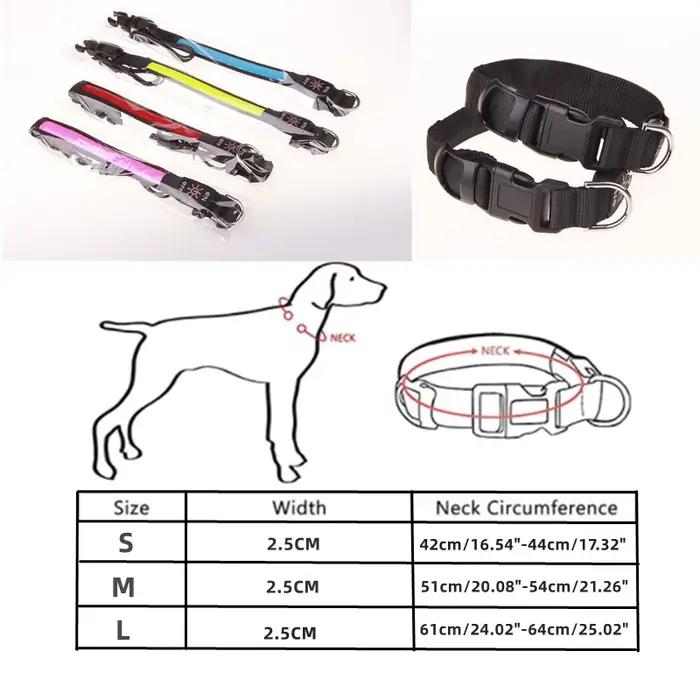 Collier lumineux LED pour chien, réglable, clignotant, rechargeable par USB, collier lumineux pour l
