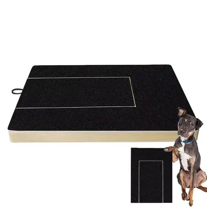 Lime à Ongles Carrée pour Chien, Grattoir en Bois, Papier de Verre