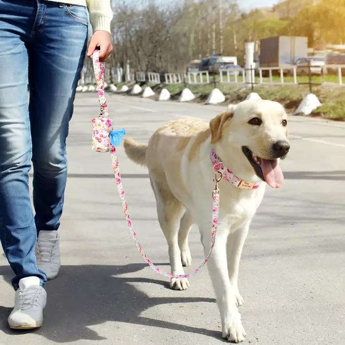 Ensemble de collier et laisse de chien en nylon à imprimé floral, colliers personnalisés pour animau