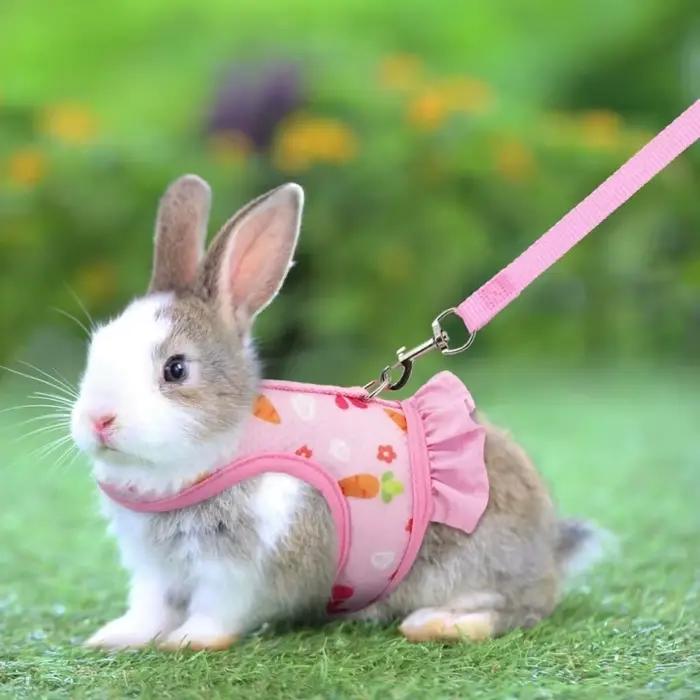 Harnais de lapin avec laisse, jolie boucle réglable, gilet en maille respirante, jupe pour lapin, co