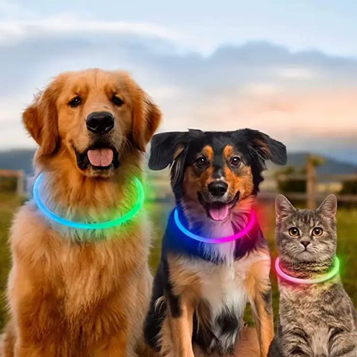 Collier lumineux LED USB pour chien, collier lumineux clignotant DIY, accessoires de sécurité anti-p