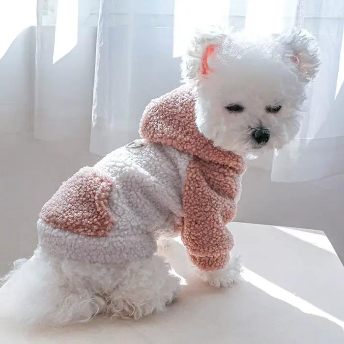 Mode chat chien à capuche avec boucle hiver pull pour animaux de compagnie pour petits chiens Chihua
