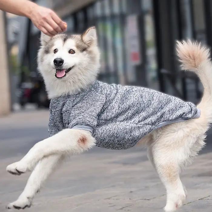 Sweat-shirt pour chien, pour animaux de compagnie moyens et grands, doré, Satsuma Huskies, frontière