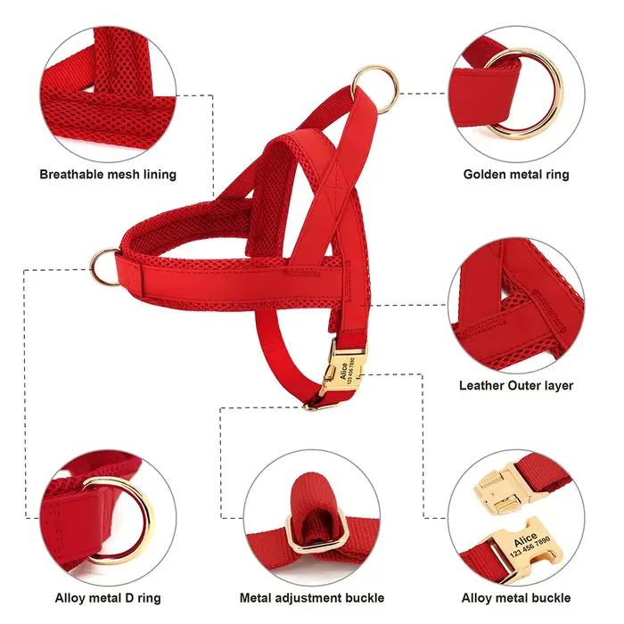 Collier de chien en cuir personnalisé, ensemble de laisse SFP, glaçage en maille pour animaux de com