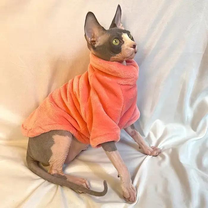 Vêtements à la mode pour chats Sphynx chat pull chaton vêtements chien à capuche vêtements pour Sphi