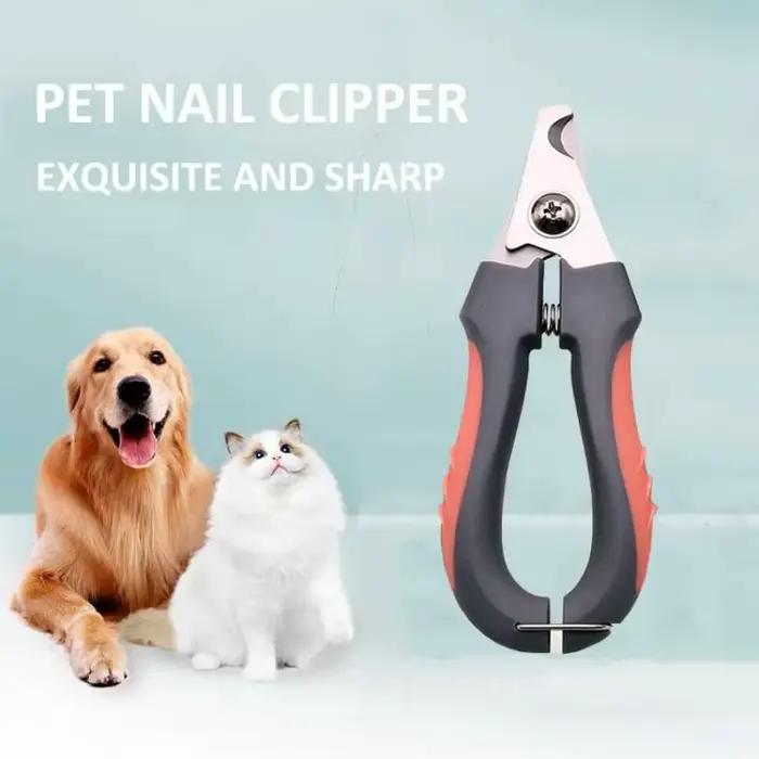 Coupe-ongles professionnel en acier inoxydable pour animaux de compagnie, ciseaux à griffes pour chi