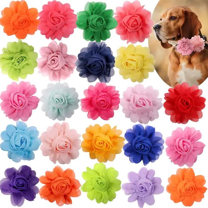 Collier à Grande Fleur pour Chien, Accessoire pour Animaux de Compagnie, 50px