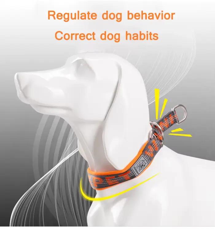 Truelove – collier pour animaux de compagnie, chaîne en Nylon réfléchissant, néoprène rembourré, dem