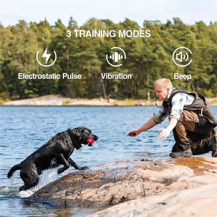 Collier de dressage 2 en 1 pour chien et Anti-aboiement automatique, 1300 pieds, Vibration à distanc