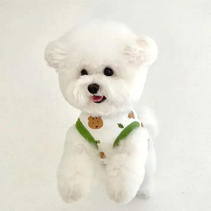 Vêtements pour animaux de compagnie pour chiens et chiots, glathin d'été, pull FN anian, t-shirt imp