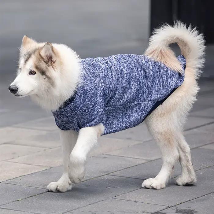 Sweat-shirt pour chien, pour animaux de compagnie moyens et grands, doré, Satsuma Huskies, frontière