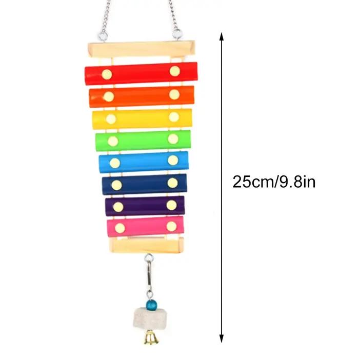 Jouet Xylophone pour oiseaux, poulet, Cage à oiseaux suspendue en bois, accessoires, jouet Musical a