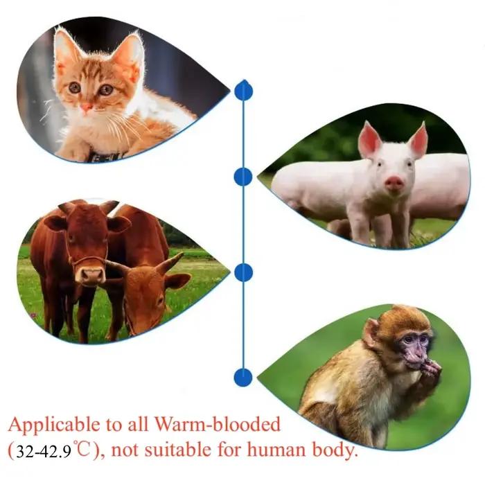 Thermomètre infrarouge pour animaux de compagnie, chien, chat, mesure médicale des animaux, électron