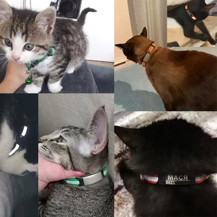 Collier réfléchissant réglable et personnalisé pour chat, accessoire de sécurité en nylon pour l'ide