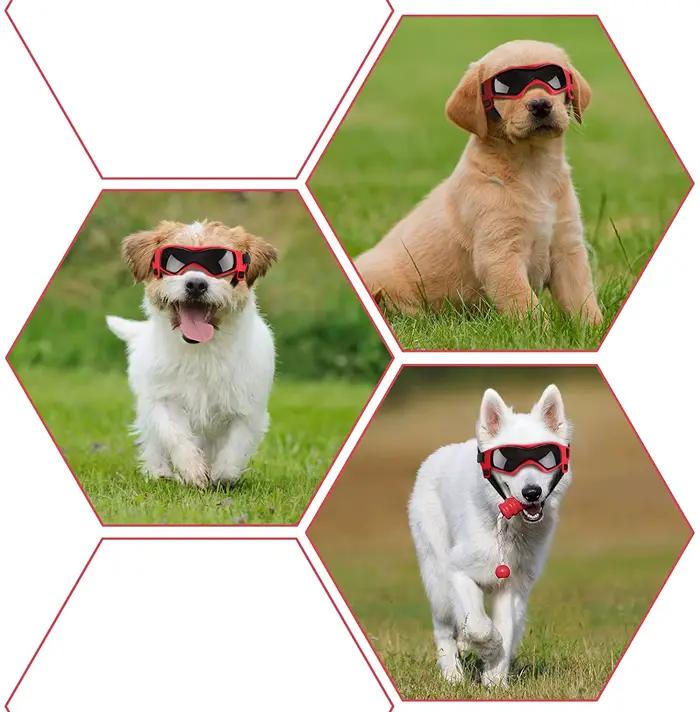 Lunettes de Protection UV pour chiens et chats, lunettes de soleil Cool pour petits et moyens chiens