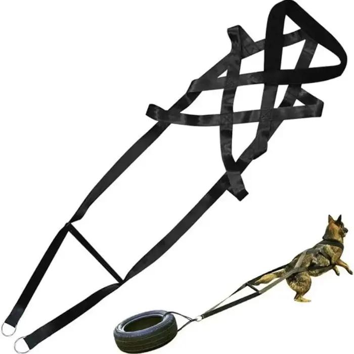 Grande ceinture de sécurité de traîneau de laisse d'entraînement de traction de chien de travail pou