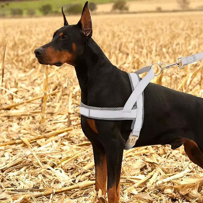 Harnais personnalisé pour grands chiens, gilet réglable en maille gravée en cuir pour animaux de com