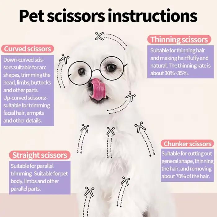 Fenice-Ciseaux de toilettage professionnels à deux documents pour chiens de compagnie, cisailles à e
