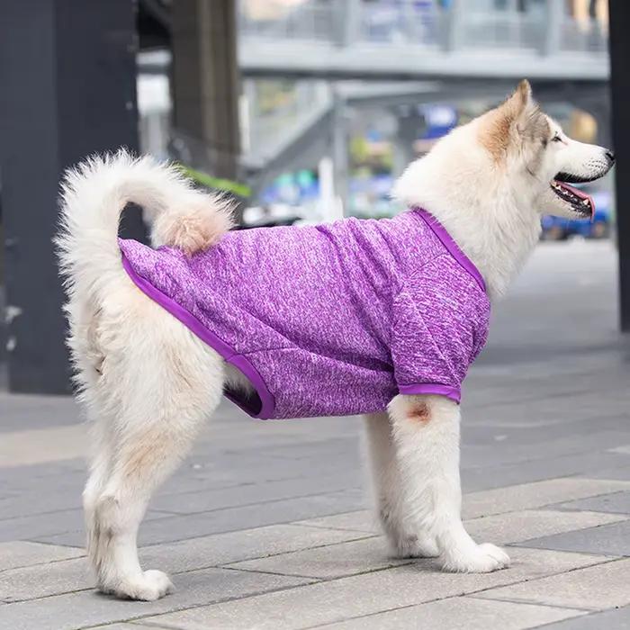 Sweat-shirt pour chien, pour animaux de compagnie moyens et grands, doré, Satsuma Huskies, frontière