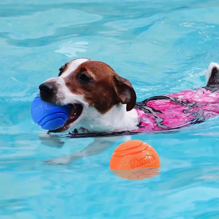 Jouets pour chiens de compagnie, balle gonflable en caoutchouc solide, résistance aux jouets à mâche