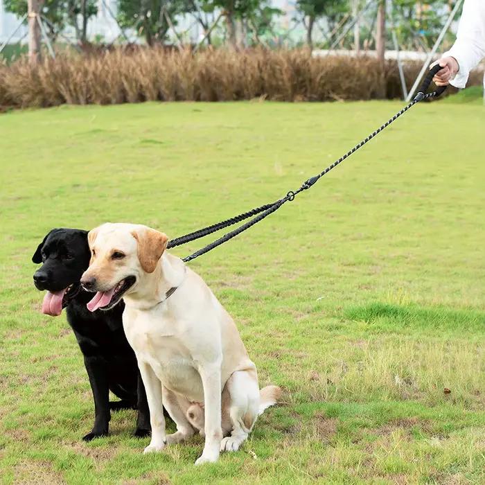 Laisses pour chiens de compagnie marche 2 deux chiens laisse en Nylon coupleur Double cordes double