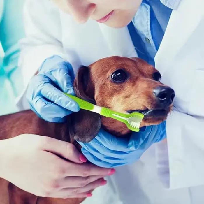 Brosse à dents en plastique pour animaux de compagnie, 3 faces, pour chien, élimine la mauvaise hale