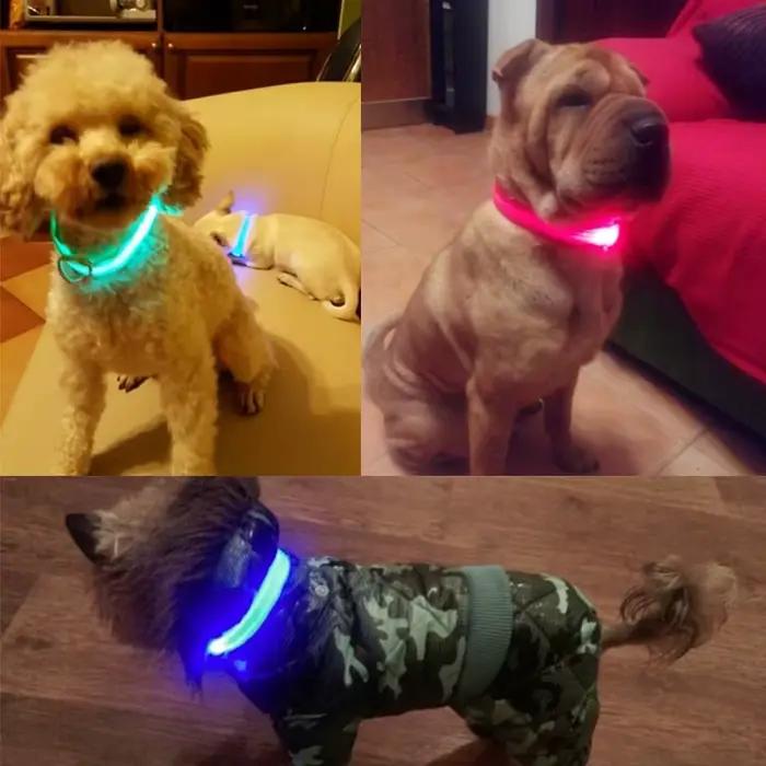 Collier pour chien lumière LED électronique sécurité nocturne Anti-perte Nylon réglable lumineux col