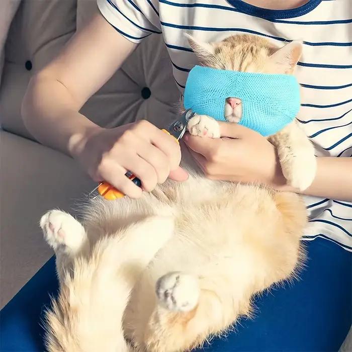 Muselière respirante pour chat, Anti-morsure, à mâcher, fournitures de toilettage pour animaux de co