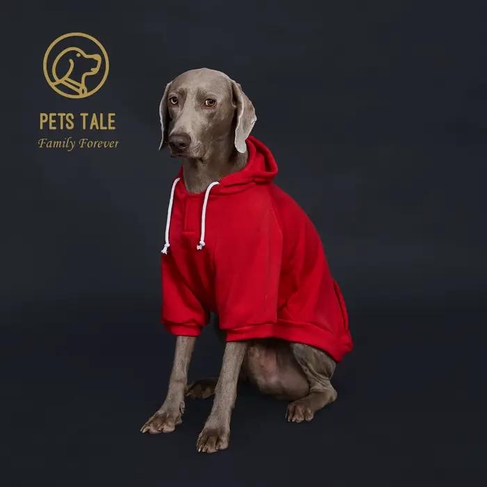 Sweat à capuche pour chien de couleur unie avec poche, patch en cuir, collier à fermeture à crochet