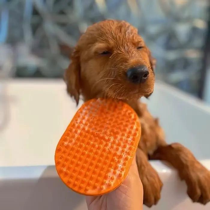 Brosse de bain pour chien, toilettage pour chiens, Massage apaisant, poils en caoutchouc, peigne à c