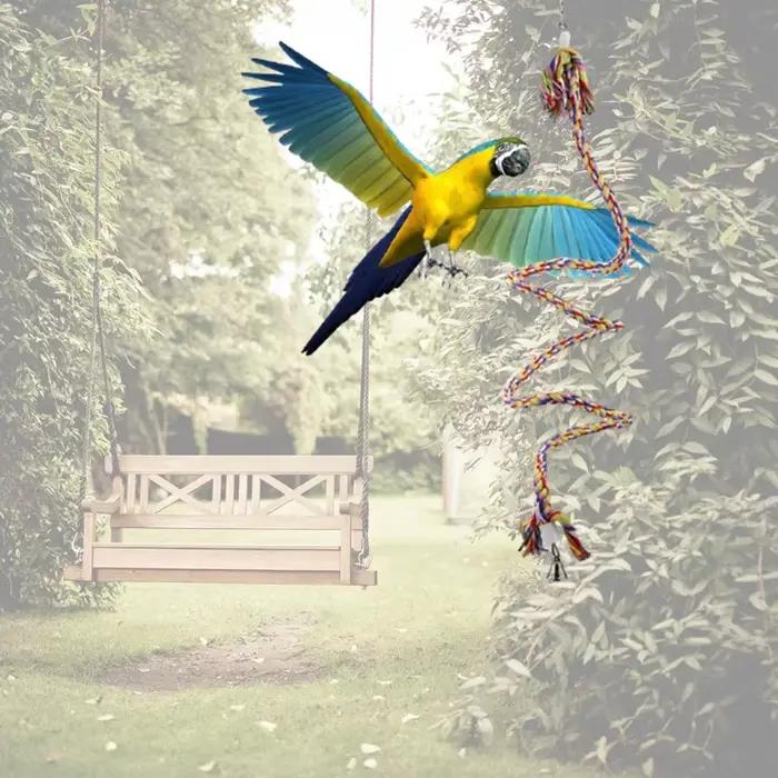 Balançoire à oiseaux en corde coton, perchoir pour Cage suspendue, jouet élastique en spirale pour p