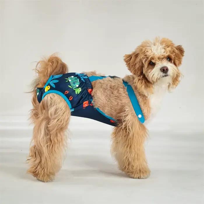 Pantalons physiologiques unisexes pour animaux de compagnie, sous-vêtements pour filles, couches pou