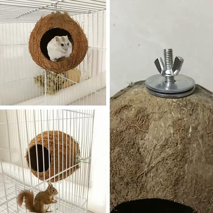 Nid en coquille de noix de coco pour animaux de compagnie, 1 pièce, perroquet, perche naturelle, pet