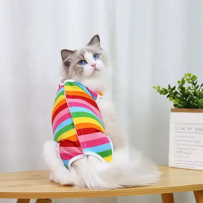 Combinaison de récupération professionnelle pour chat, pour blessures abdominales ou maladies cutané