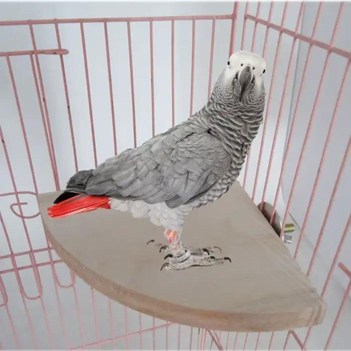 Plate-forme en bois pour perroquets et oiseaux, 1 pièce, support, jouets, perchoirs pour Branches de