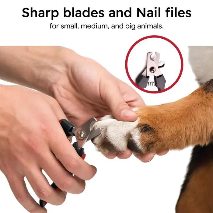 Coupe-ongles professionnel en acier inoxydable pour animaux de compagnie, ciseaux à griffes pour chi