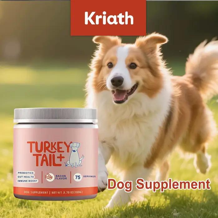 Poudre Probiotique Canine Soutien Santé Intestinale Amélioration du Bien-être Digestif Renforce la D