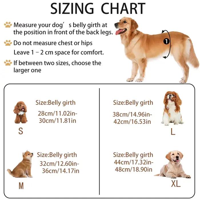 BIAI Anti-fuite latérale chien mâle couche réutilisable pantalon physiologique sous-vêtements sanita