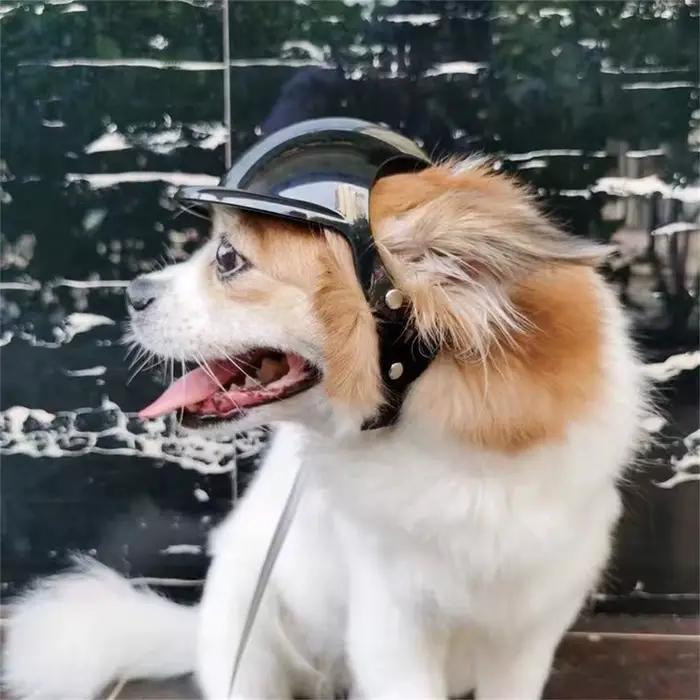 Casque de sécurité Cool pour chiens de petite et moyenne taille, bouledogue français Doberman Pinsch