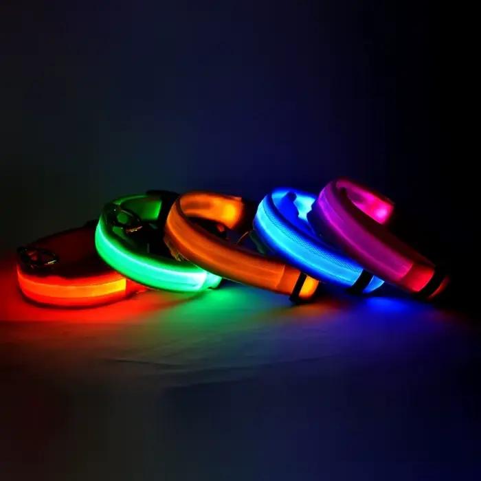 Laisse LED clignotante en nylon pour chien, sécurité nocturne, lueur dans le noir, collier de chien