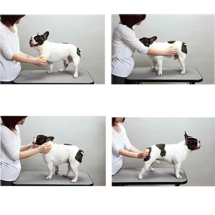 Produits pour animaux de compagnie pour chien chat brosse de Massage peignes nettoyant chiot épilati
