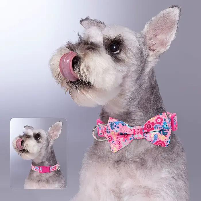 Collier de chien en Nylon imprimé Floral, collier de printemps réglable avec nœud papillon pour peti