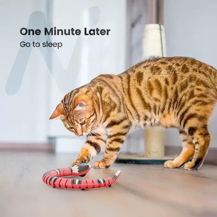 Jouets interactifs électriques pour chats, salle de détection intelligente, chargement USB, accessoi