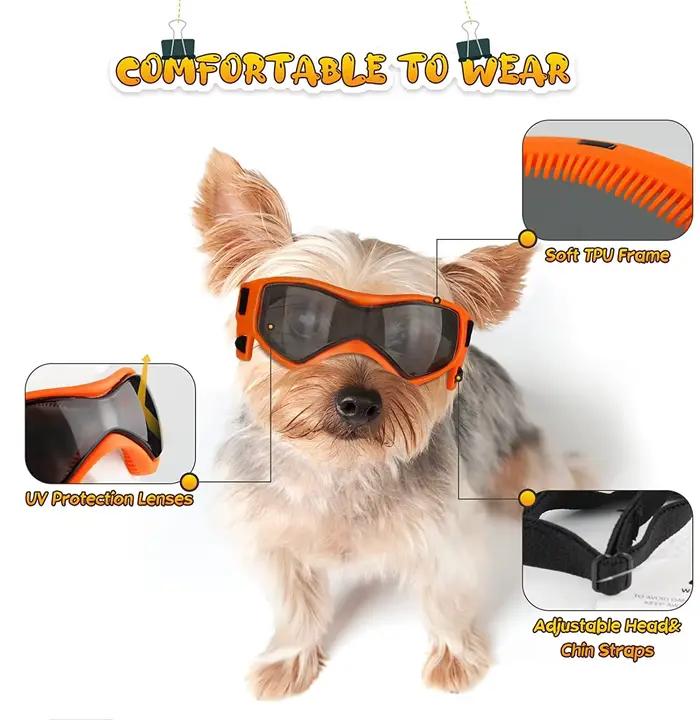 Accessoires pour animaux de compagnie chien Protection UV extérieure lunettes de soleil chat chien l