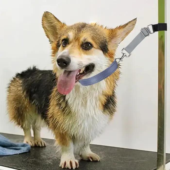 2 pièces accessoires de bras de laisses de base de toilettage de chien de compagnie, sangles d'exten