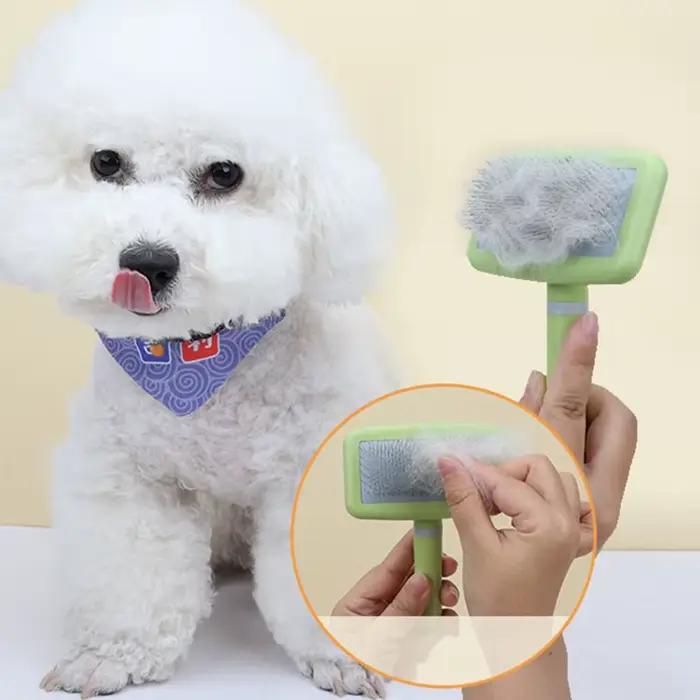 Brosse pour chien, épilateur de Massage pour animaux de compagnie, peignes pour chiens, toilettage p