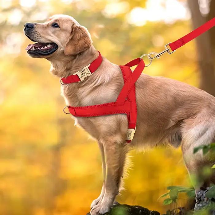 Collier de chien en cuir personnalisé, ensemble de laisse SFP, glaçage en maille pour animaux de com