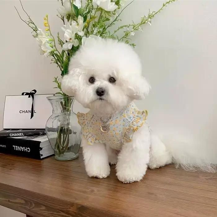 Mode chiot chien vêtements été fleurs fines chiens vêtements pour petits chiens chiens vêtements chi